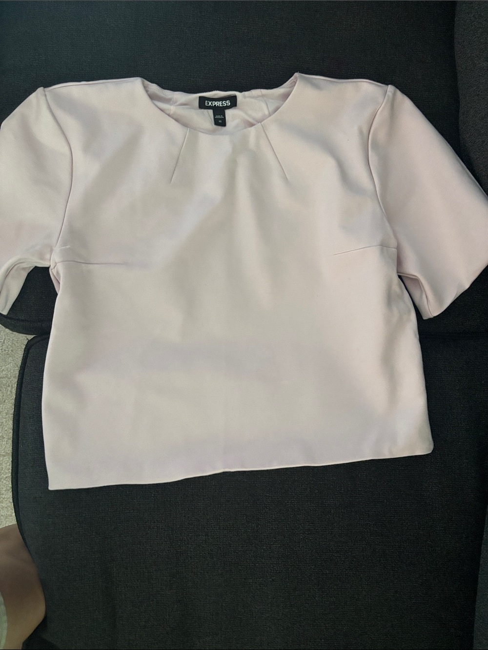 Express Pale Pink Short Sleeve Crewneck Top